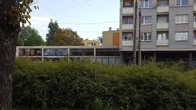 Alpha-Eye Dr n.med.Krzysztof MUSKALSKI